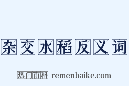 杂交水稻反义词是什么意思的图片